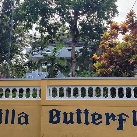 Villa Butterfly Moragalla Kültér fotó